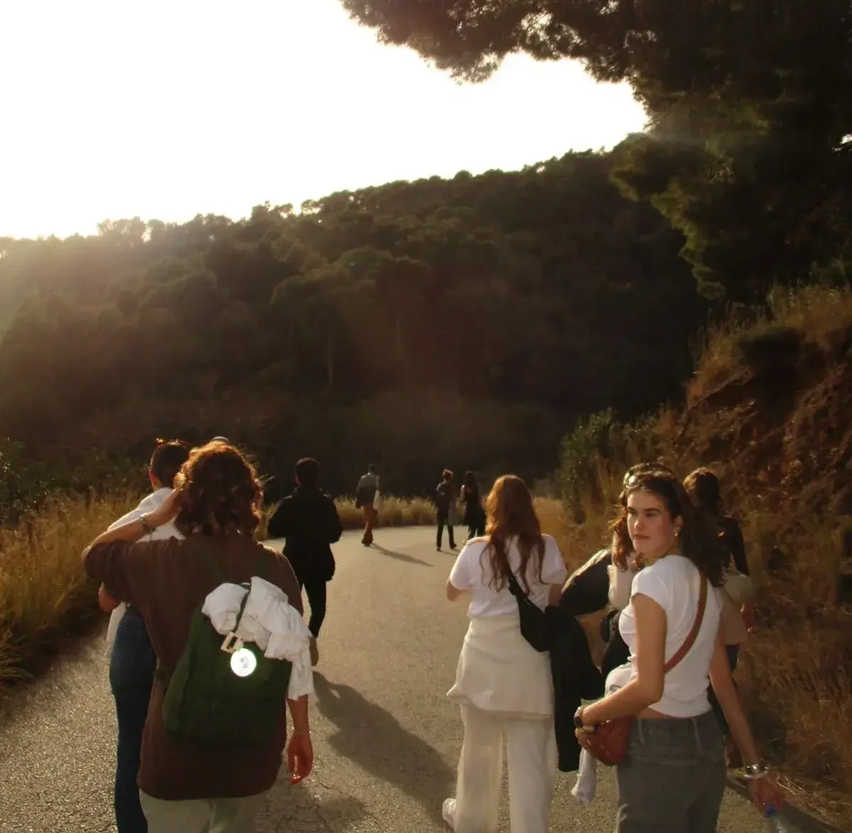 Tibidabo Hike Buddies BCN